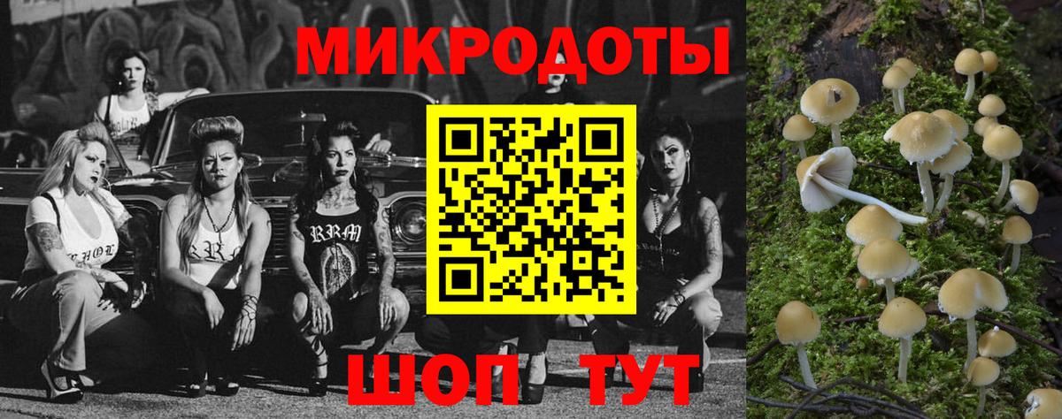 Псилоцибиновые грибы Magic Shrooms  Галлюциногенные грибы Magic Shrooms  Вход с VPN  Ростов-на-Дону 