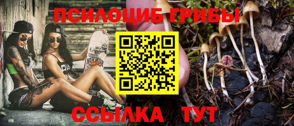 Псилоцибиновые грибы мухоморы Ростов-на-Дону